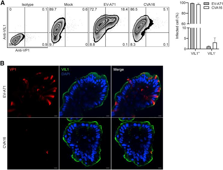 https://cdn.ncbi.nlm.nih.gov/pmc/blobs/20f6/7940440/5e700f471840/gr3.jpg