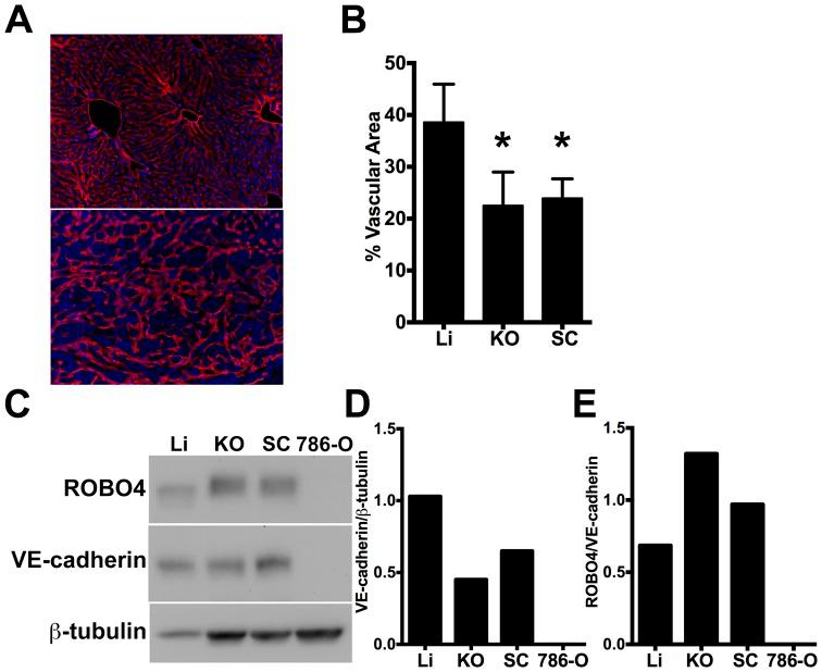 https://cdn.ncbi.nlm.nih.gov/pmc/blobs/20f8/3871592/4189217e0cdd/pone.0083933.g001.jpg