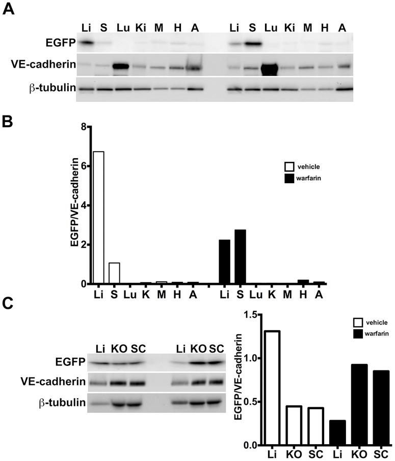 https://cdn.ncbi.nlm.nih.gov/pmc/blobs/20f8/3871592/e100f7392ad3/pone.0083933.g007.jpg
