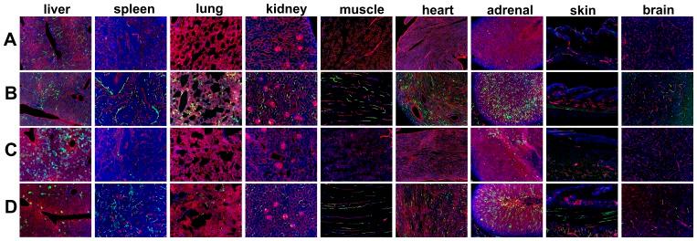 https://cdn.ncbi.nlm.nih.gov/pmc/blobs/20f8/3871592/ecdc60790b1d/pone.0083933.g002.jpg