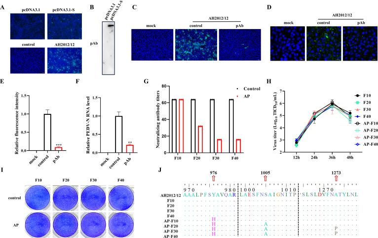 https://cdn.ncbi.nlm.nih.gov/pmc/blobs/20fb/12090811/194fe0ccf127/jvi.02193-24.f001.jpg
