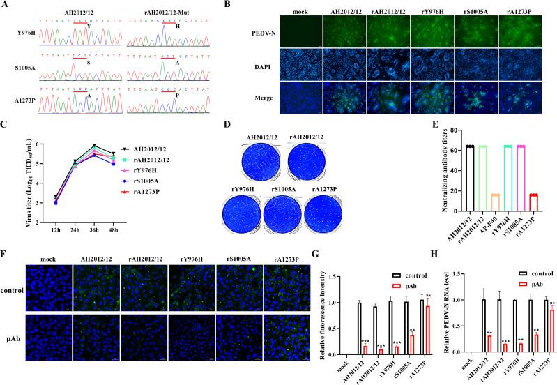 https://cdn.ncbi.nlm.nih.gov/pmc/blobs/20fb/12090811/6bdb66541a73/jvi.02193-24.f002.jpg