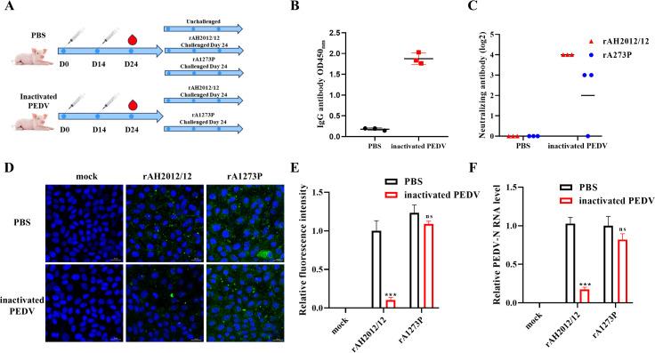 https://cdn.ncbi.nlm.nih.gov/pmc/blobs/20fb/12090811/79150af9cfe6/jvi.02193-24.f004.jpg