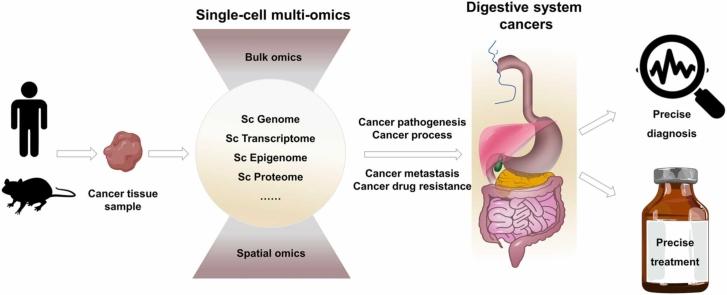 https://cdn.ncbi.nlm.nih.gov/pmc/blobs/20fd/10787224/09fe8ed68f96/ga1.jpg