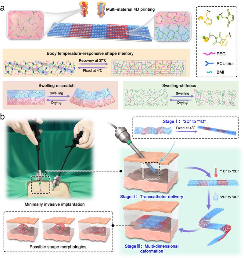 https://cdn.ncbi.nlm.nih.gov/pmc/blobs/20fd/10881973/0ad2232844a9/41467_2024_45938_Fig1_HTML.jpg