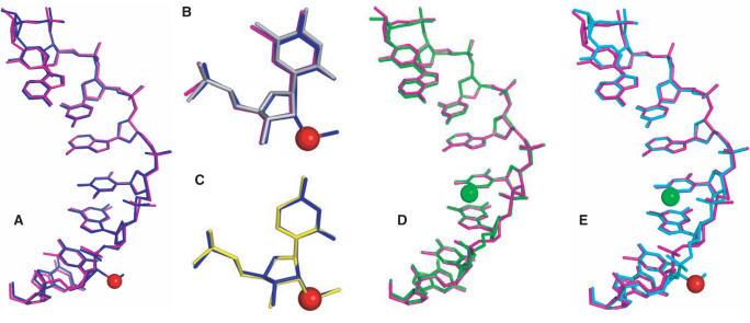 https://cdn.ncbi.nlm.nih.gov/pmc/blobs/20fd/1802610/b2b2c7018955/gkl1070f4.jpg