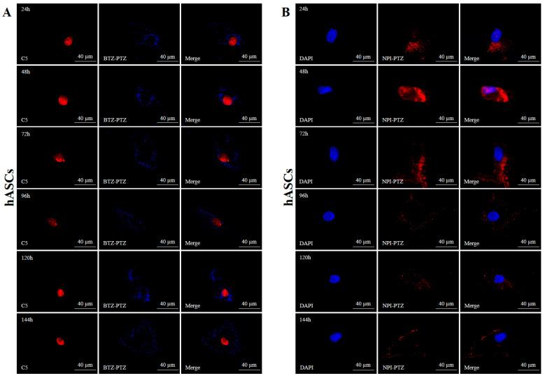 https://cdn.ncbi.nlm.nih.gov/pmc/blobs/2101/12196274/7ab1bb18ed89/nanomaterials-15-00894-g004a.jpg