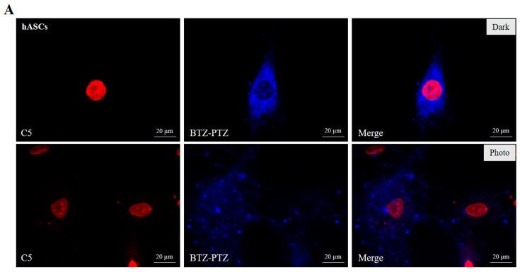 https://cdn.ncbi.nlm.nih.gov/pmc/blobs/2101/12196274/969b32039cb5/nanomaterials-15-00894-g006a.jpg