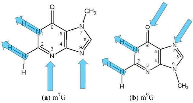 https://cdn.ncbi.nlm.nih.gov/pmc/blobs/2107/6269867/7daae1f4ce11/molecules-18-00225-g001.jpg
