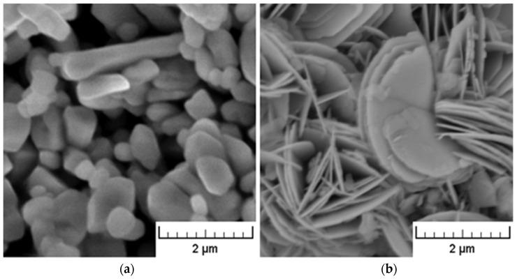 https://cdn.ncbi.nlm.nih.gov/pmc/blobs/2109/9919178/07f2d8b3021f/polymers-15-00587-g001.jpg