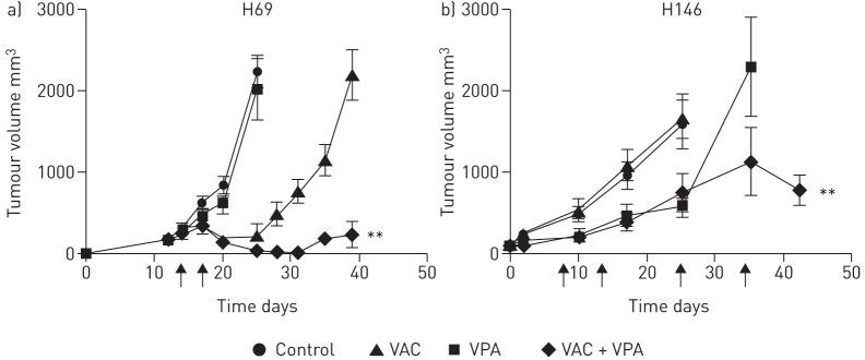 https://cdn.ncbi.nlm.nih.gov/pmc/blobs/210a/5005116/1edf4fcd2fdf/00028-2015.05.jpg