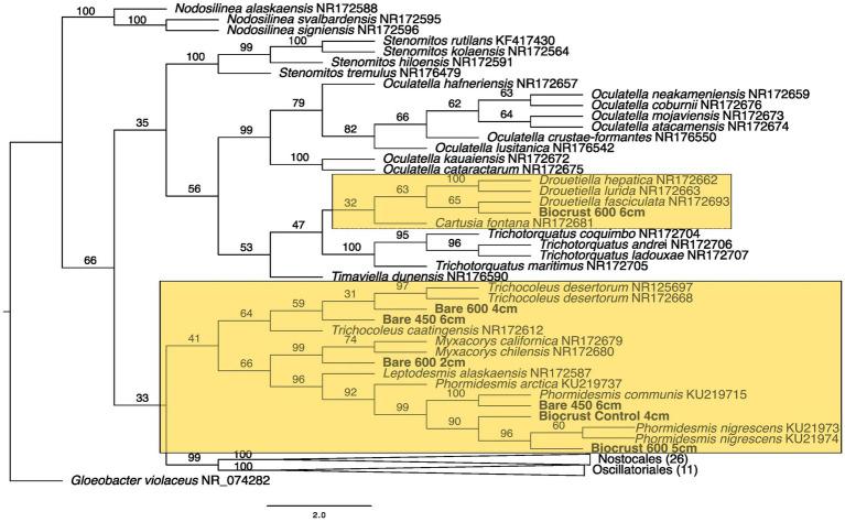 https://cdn.ncbi.nlm.nih.gov/pmc/blobs/210c/10064808/bc041644f215/fmicb-14-1123790-g005.jpg