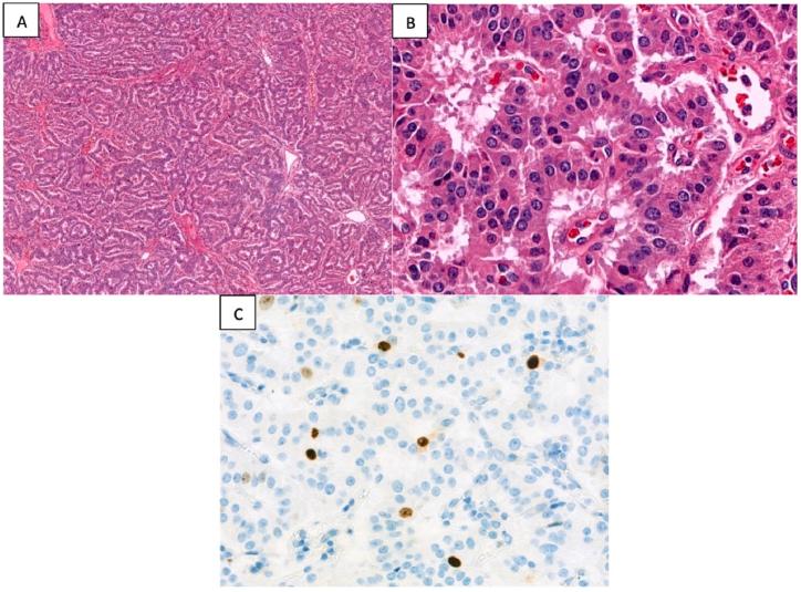 https://cdn.ncbi.nlm.nih.gov/pmc/blobs/210d/11296031/5ad7ae065d23/gr6.jpg