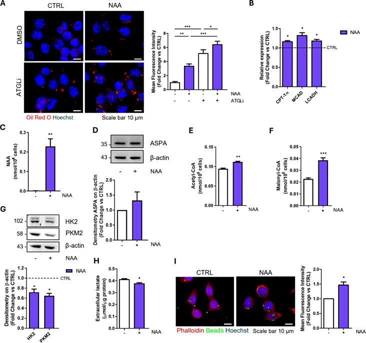 https://cdn.ncbi.nlm.nih.gov/pmc/blobs/210d/11587775/26ebce5b167e/12964_2024_1947_Fig1_HTML.jpg