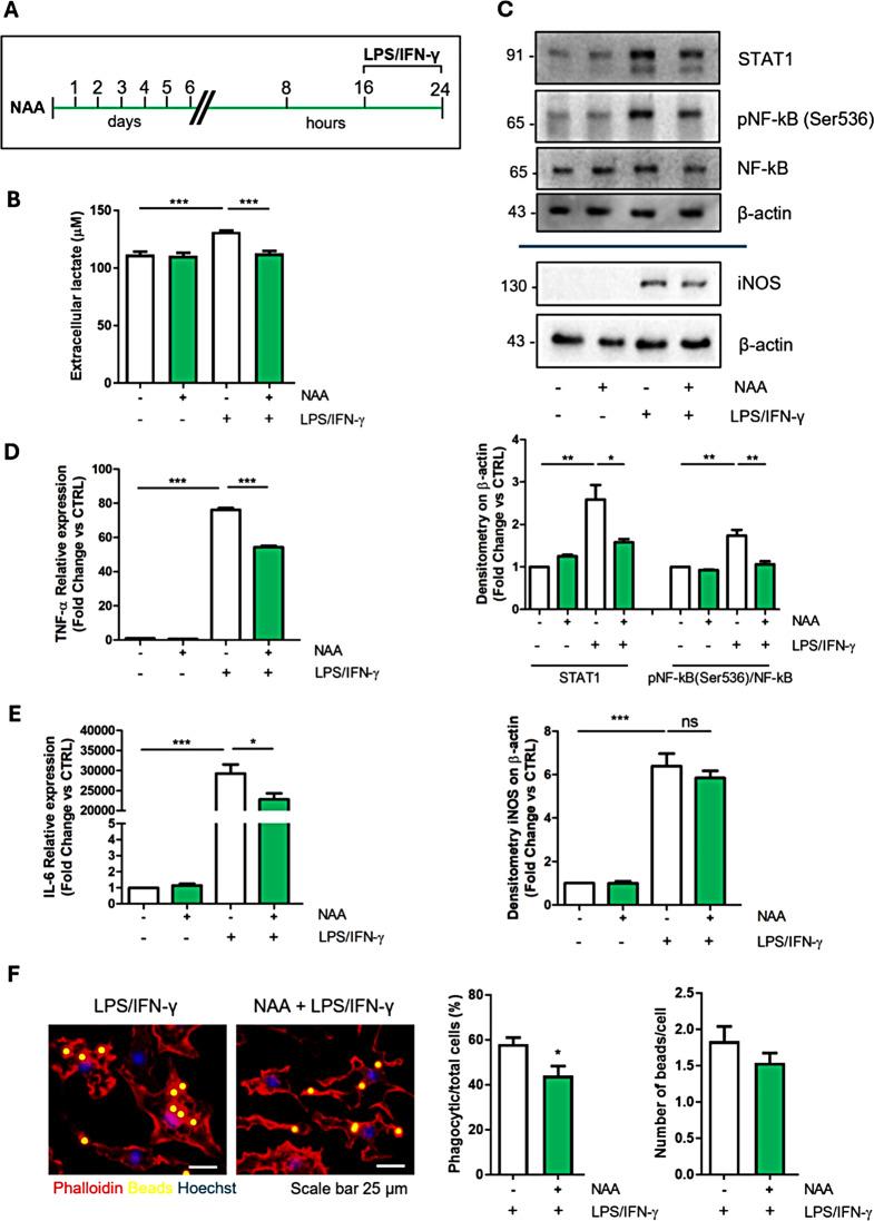 https://cdn.ncbi.nlm.nih.gov/pmc/blobs/210d/11587775/8958cab8f8ec/12964_2024_1947_Fig5_HTML.jpg