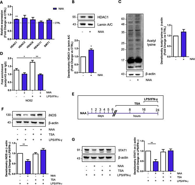 https://cdn.ncbi.nlm.nih.gov/pmc/blobs/210d/11587775/aa95bdfd6557/12964_2024_1947_Fig3_HTML.jpg