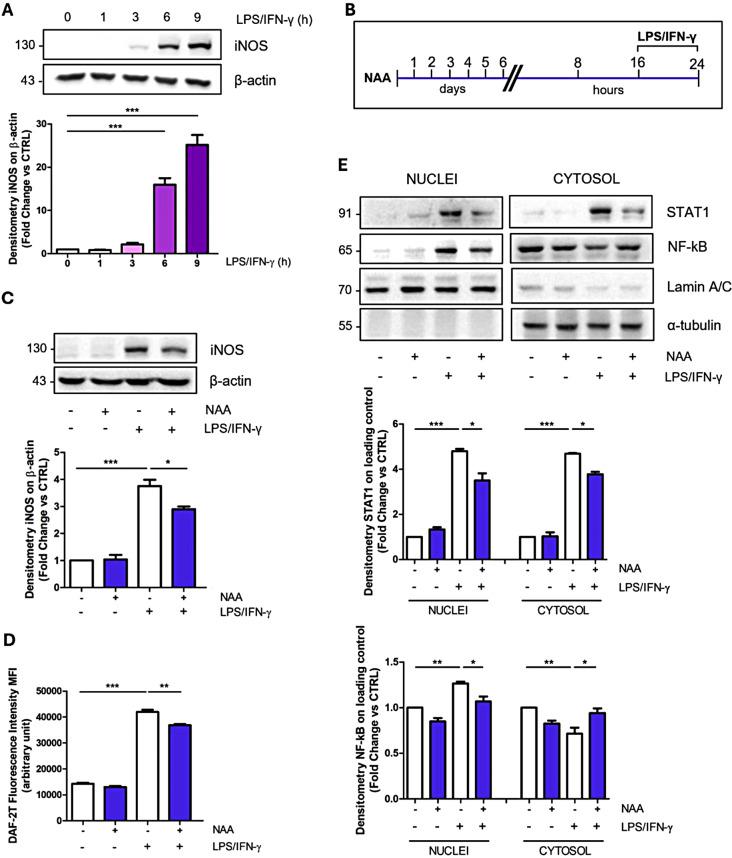 https://cdn.ncbi.nlm.nih.gov/pmc/blobs/210d/11587775/f641431aa038/12964_2024_1947_Fig2_HTML.jpg