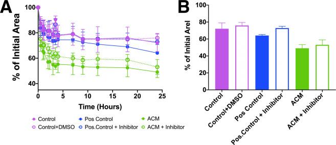 https://cdn.ncbi.nlm.nih.gov/pmc/blobs/210e/7314785/2c7982afb4b9/41598_2020_67175_Fig5_HTML.jpg
