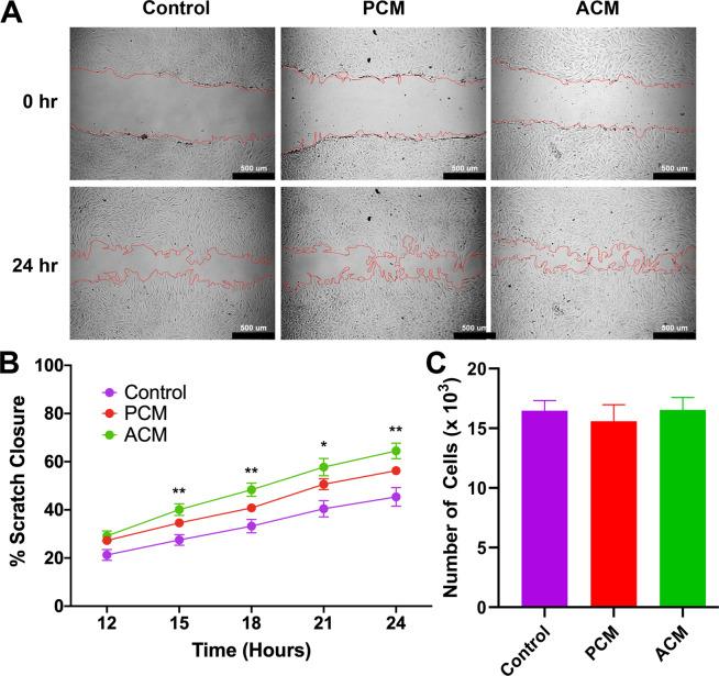 https://cdn.ncbi.nlm.nih.gov/pmc/blobs/210e/7314785/46fa5533e74b/41598_2020_67175_Fig1_HTML.jpg