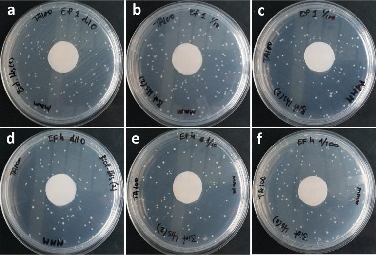 https://cdn.ncbi.nlm.nih.gov/pmc/blobs/210e/8561835/77cde5b61e6c/jmbe.00143-21-f004.jpg
