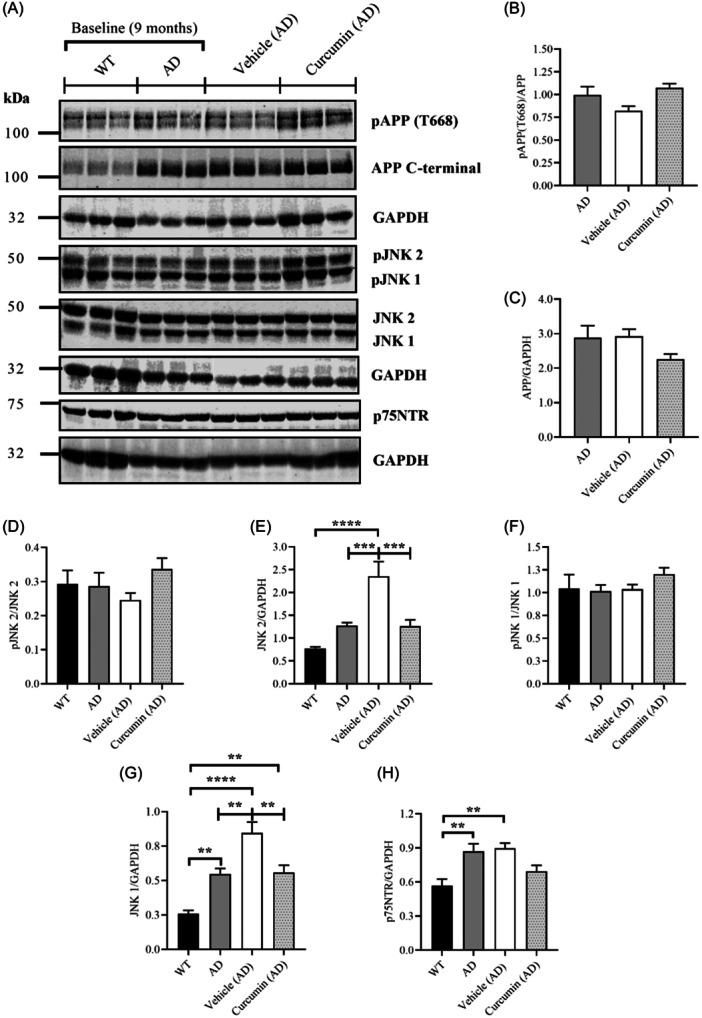 https://cdn.ncbi.nlm.nih.gov/pmc/blobs/2110/11649387/89a2fb17ecff/IBRA-10-500-g006.jpg