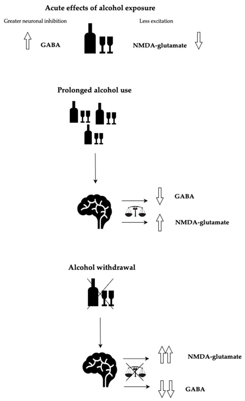 https://cdn.ncbi.nlm.nih.gov/pmc/blobs/2111/10969323/484be8aa4173/brainsci-14-00294-g001.jpg