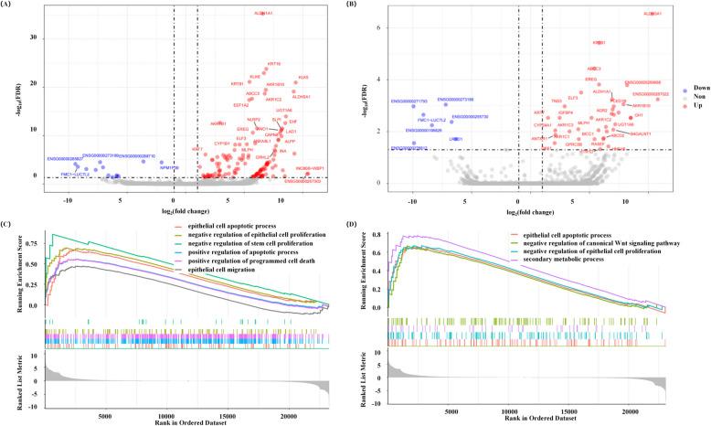 https://cdn.ncbi.nlm.nih.gov/pmc/blobs/2111/12042543/079431770530/12916_2025_4074_Fig7_HTML.jpg