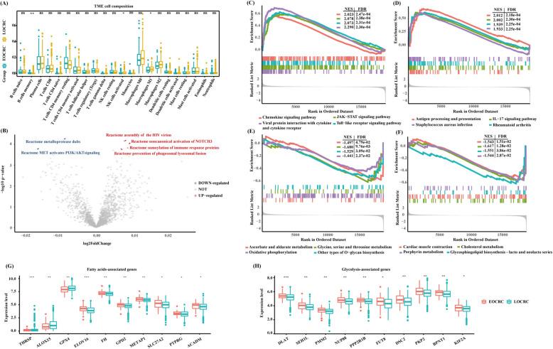 https://cdn.ncbi.nlm.nih.gov/pmc/blobs/2111/12042543/16d547adc39d/12916_2025_4074_Fig2_HTML.jpg