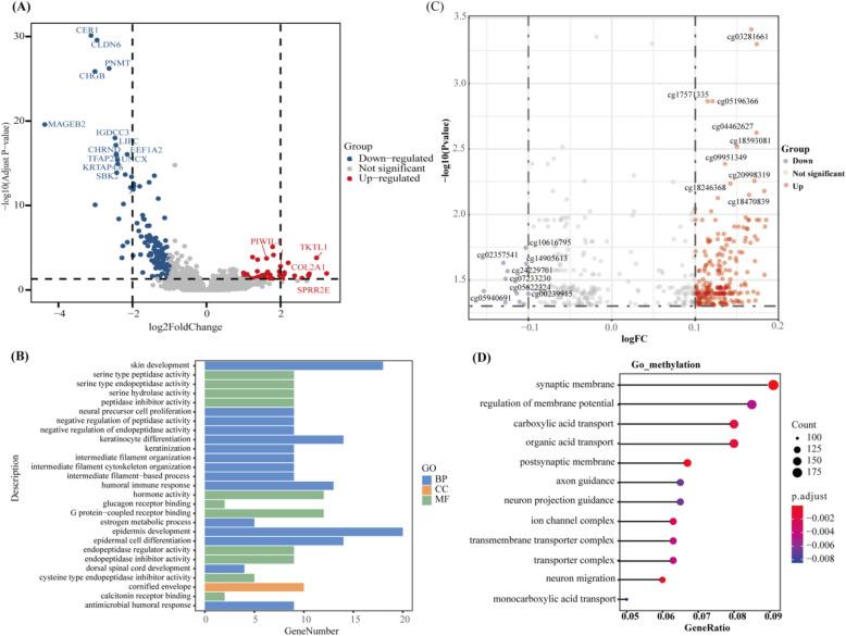 https://cdn.ncbi.nlm.nih.gov/pmc/blobs/2111/12042543/3c748781a24d/12916_2025_4074_Fig3_HTML.jpg