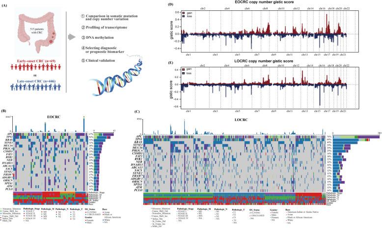 https://cdn.ncbi.nlm.nih.gov/pmc/blobs/2111/12042543/4c6cb6d1ec77/12916_2025_4074_Fig1_HTML.jpg