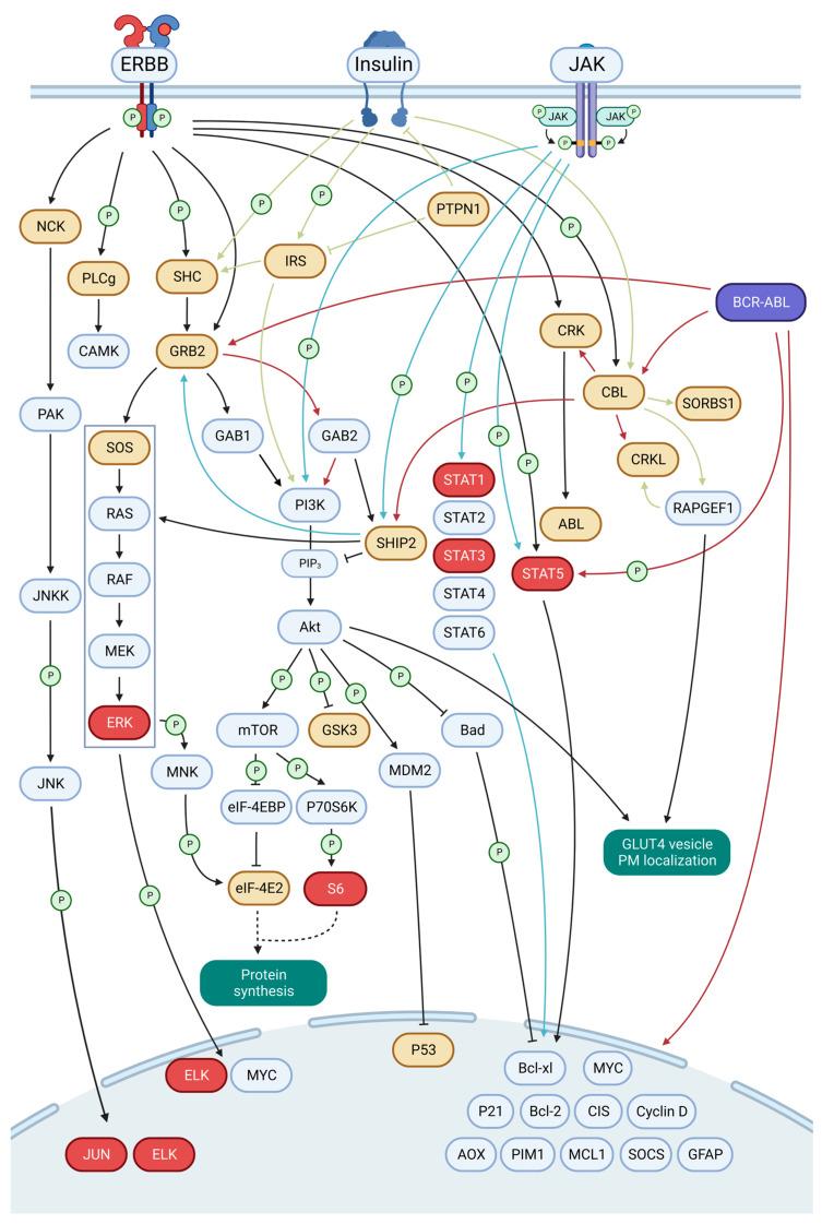 https://cdn.ncbi.nlm.nih.gov/pmc/blobs/2115/10486691/d69045ce017e/cancers-15-04246-g006.jpg