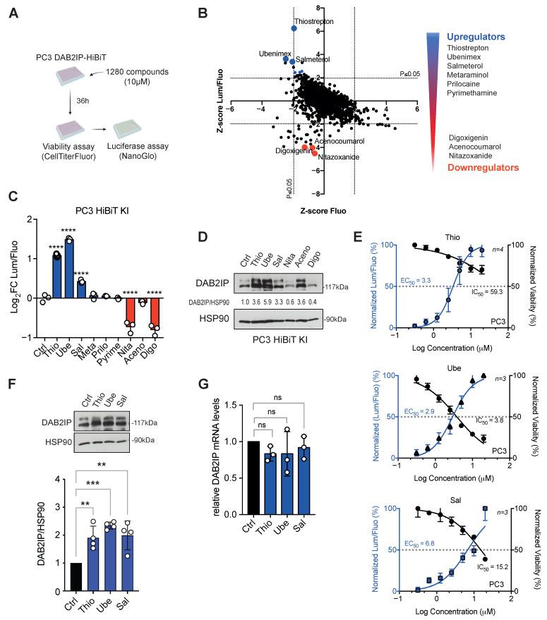 https://cdn.ncbi.nlm.nih.gov/pmc/blobs/2115/12384208/36eac3567477/biomolecules-15-01147-g001.jpg