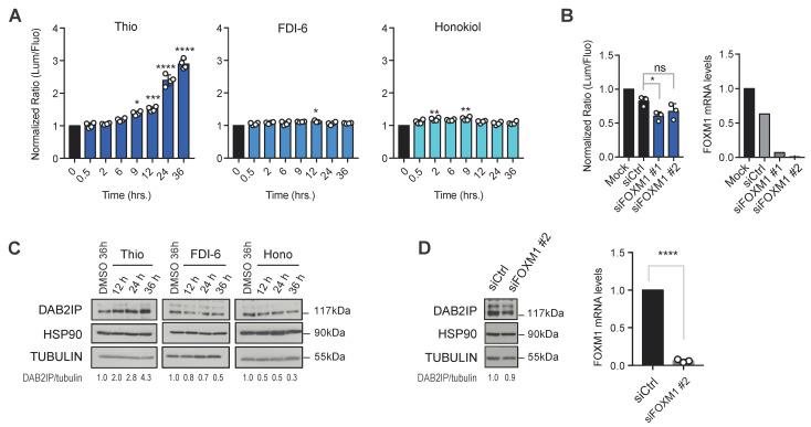 https://cdn.ncbi.nlm.nih.gov/pmc/blobs/2115/12384208/73ddeaca3cea/biomolecules-15-01147-g003.jpg