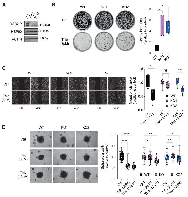 https://cdn.ncbi.nlm.nih.gov/pmc/blobs/2115/12384208/803d76cedc13/biomolecules-15-01147-g005.jpg
