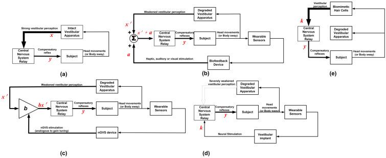 https://cdn.ncbi.nlm.nih.gov/pmc/blobs/2118/11274252/52bb68beaa53/bioengineering-11-00641-g003.jpg