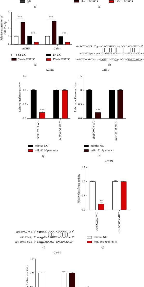 https://cdn.ncbi.nlm.nih.gov/pmc/blobs/2118/9444423/4bbbb190cd1b/DM2022-6062236.003.jpg