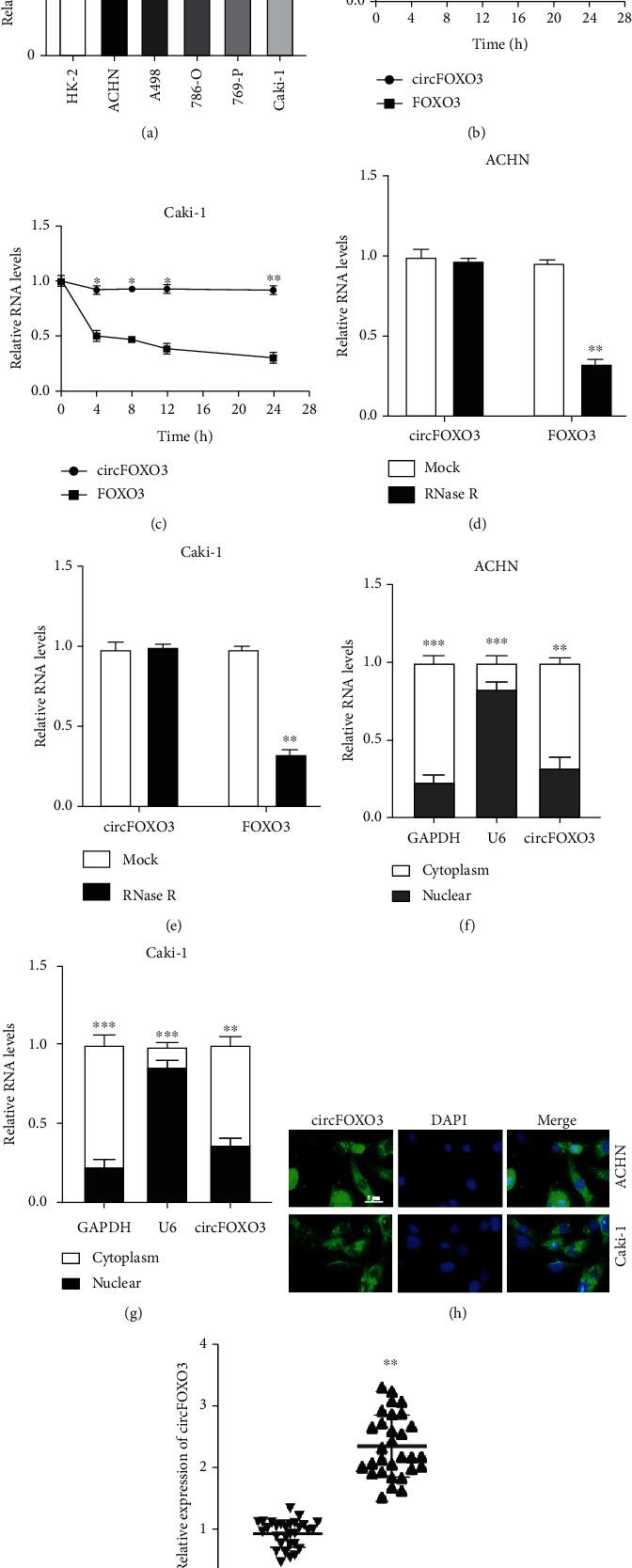 https://cdn.ncbi.nlm.nih.gov/pmc/blobs/2118/9444423/af79edcc4656/DM2022-6062236.001.jpg