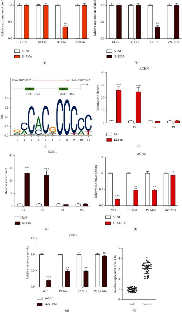 https://cdn.ncbi.nlm.nih.gov/pmc/blobs/2118/9444423/fa0c4b8b6346/DM2022-6062236.006.jpg