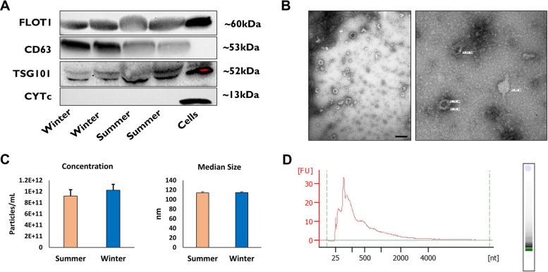 https://cdn.ncbi.nlm.nih.gov/pmc/blobs/2119/10207814/4a8c74269e99/13048_2023_1181_Fig2_HTML.jpg