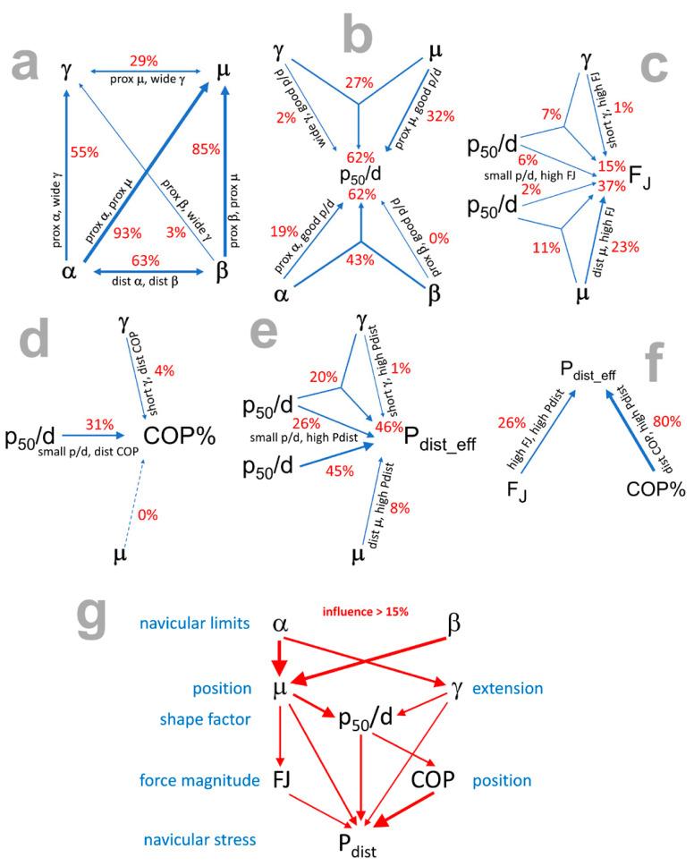 https://cdn.ncbi.nlm.nih.gov/pmc/blobs/2119/10812965/99b4ac224c9c/bioengineering-11-00087-g004.jpg