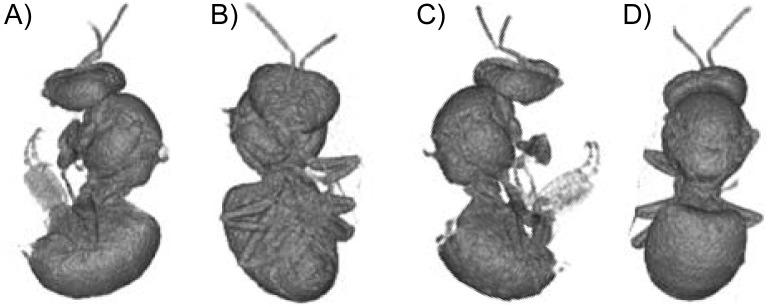 https://cdn.ncbi.nlm.nih.gov/pmc/blobs/2119/4239102/2efbc796a047/pone.0113728.g003.jpg