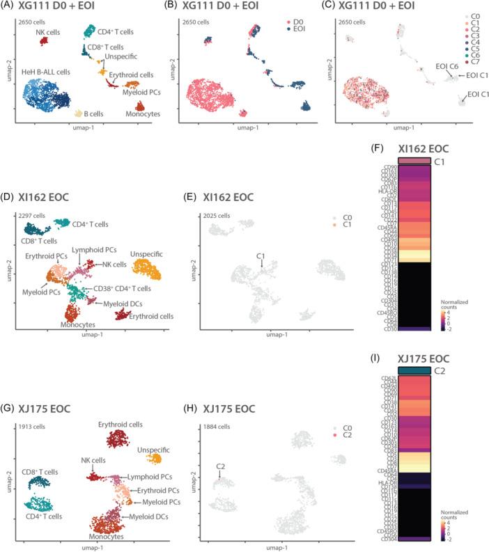 https://cdn.ncbi.nlm.nih.gov/pmc/blobs/211c/11814536/c83826c01cad/HEM3-9-e70085-g005.jpg