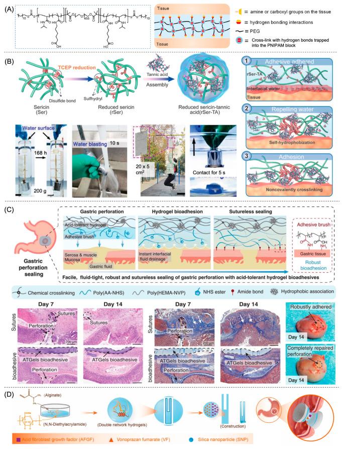 https://cdn.ncbi.nlm.nih.gov/pmc/blobs/211f/10138019/6ad7e57d19c7/gels-09-00282-g004.jpg