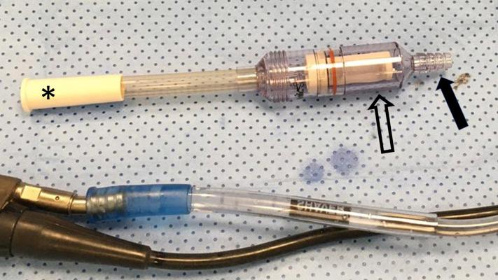 https://cdn.ncbi.nlm.nih.gov/pmc/blobs/211f/7587500/ead2bd257e79/gr1.jpg