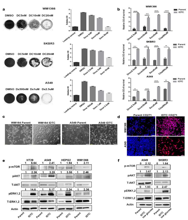 https://cdn.ncbi.nlm.nih.gov/pmc/blobs/2123/5823586/4fd2b7c52ce5/oncotarget-09-8206-g001.jpg