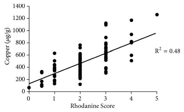 https://cdn.ncbi.nlm.nih.gov/pmc/blobs/2124/6525807/65888a0564d6/VMI2019-3642954.003.jpg