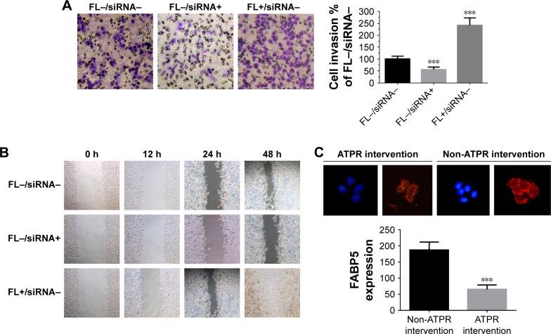 https://cdn.ncbi.nlm.nih.gov/pmc/blobs/2125/5927060/5f8dac478017/dddt-12-997Fig8.jpg