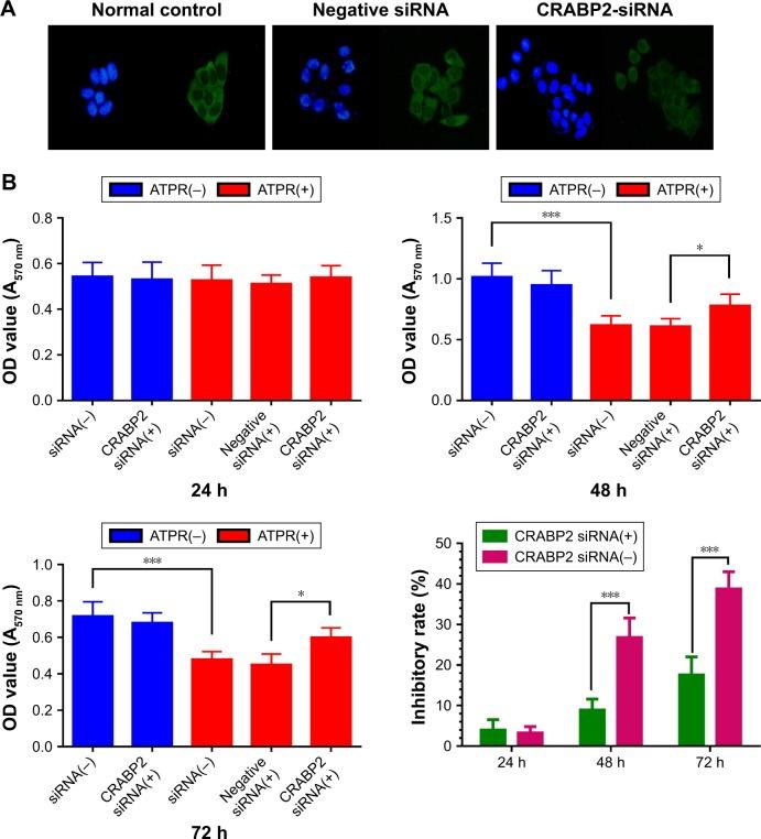 https://cdn.ncbi.nlm.nih.gov/pmc/blobs/2125/5927060/605672aa3b3d/dddt-12-997Fig4.jpg