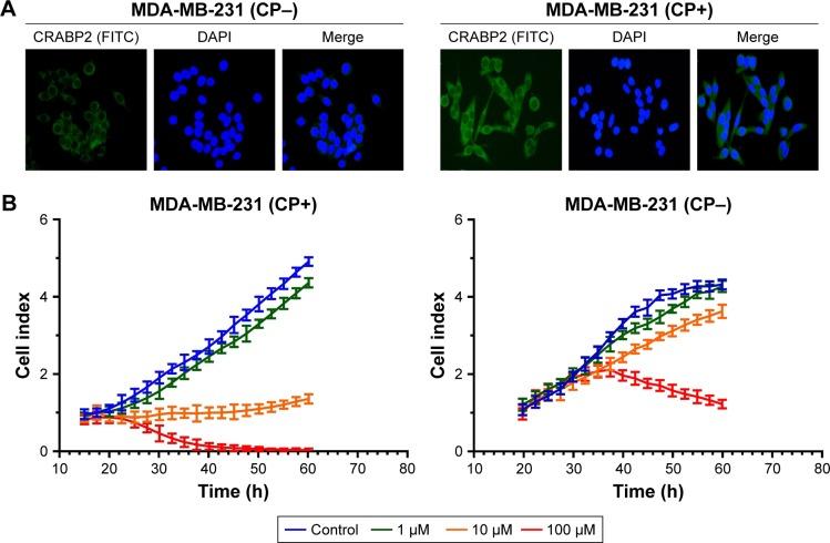 https://cdn.ncbi.nlm.nih.gov/pmc/blobs/2125/5927060/677022a5fa36/dddt-12-997Fig5.jpg