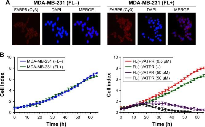 https://cdn.ncbi.nlm.nih.gov/pmc/blobs/2125/5927060/a80971cd2540/dddt-12-997Fig7.jpg